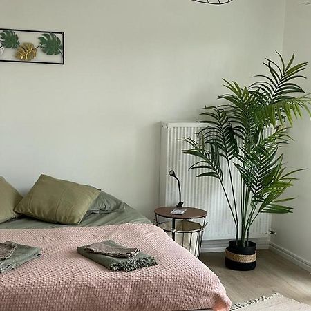 Studio T A 5Mn Euro Airport Avec Terrasse Saint-Louis (Haut-Rhin) Exterior foto
