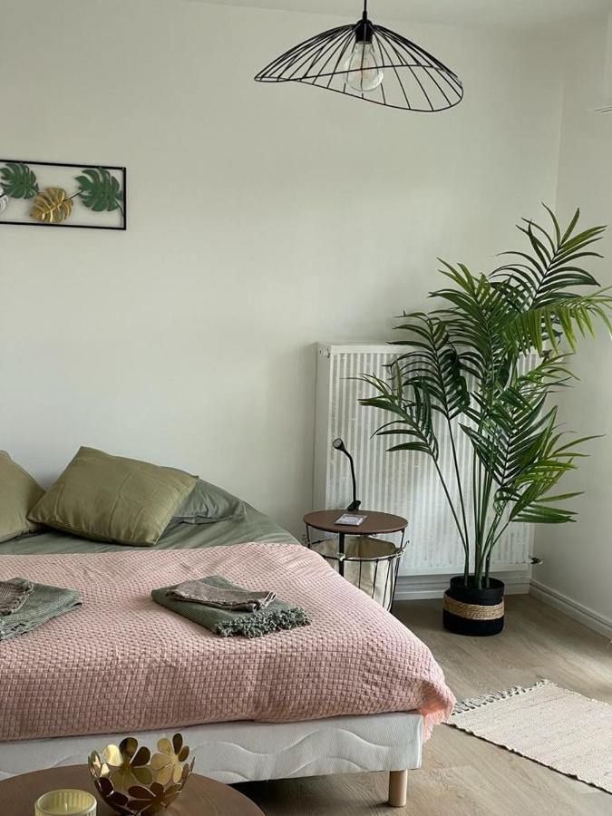 Studio T A 5Mn Euro Airport Avec Terrasse Saint-Louis (Haut-Rhin) Exterior foto